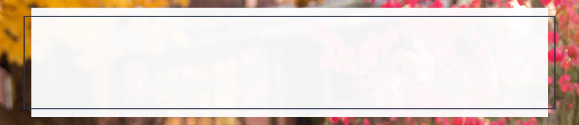 Gold colored leaves with bright blue sky background with navy blue overlay