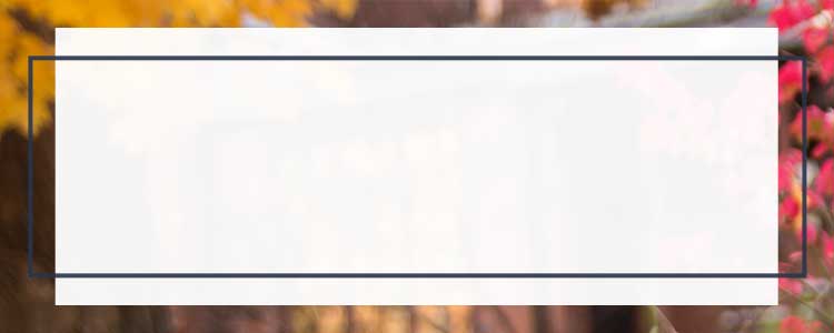 Gold colored leaves with bright blue sky background with navy blue overlay